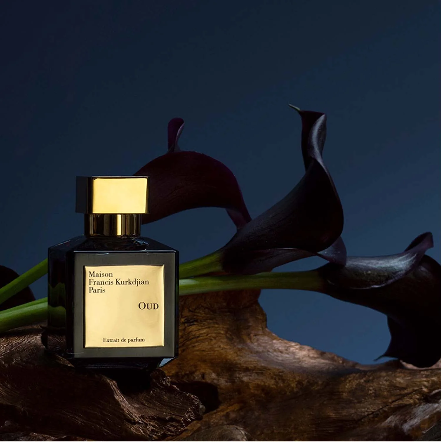 Mais*n Francis Kurkdjian Oud Extrait ede parfum