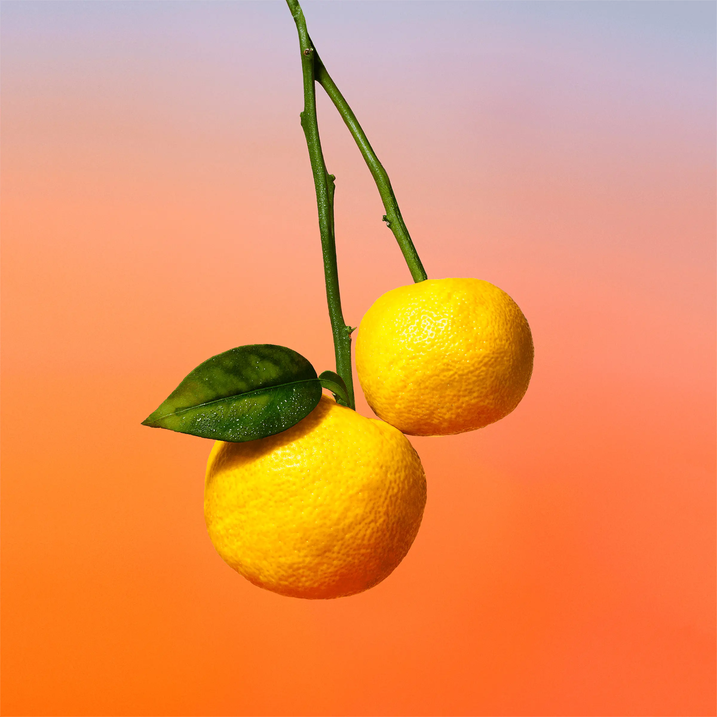 The Beach *on by LV 100ml - (swissforest)